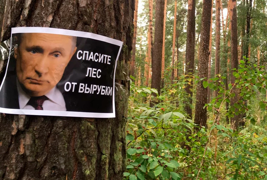 Фото Путина в лесу Екатеринбурга с призывом остановить вырубку деревьев. Фото: Андрей Рудаков / URA.RU