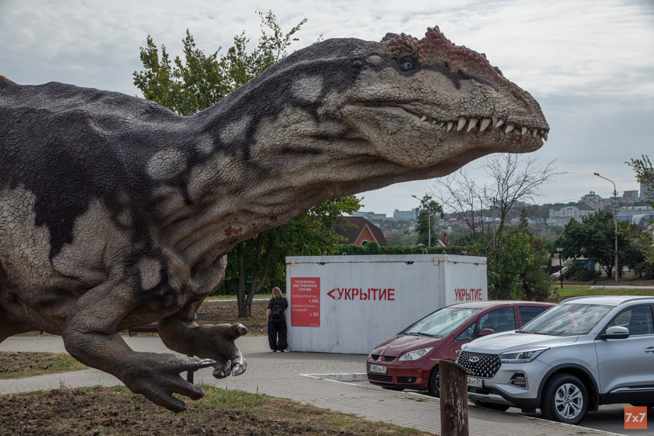 Курск