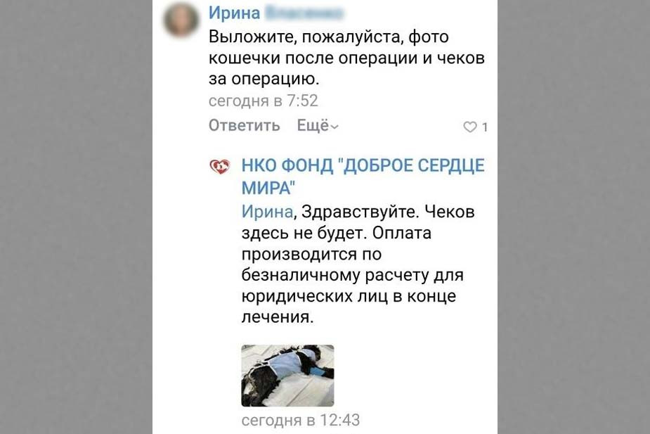 Скриншоты из паблика фонда