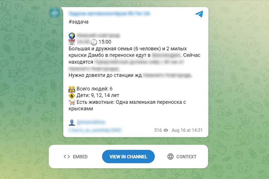 Пример задачи, которая поступает автоволонтерам через бот