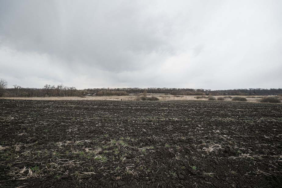 Поле у границы Белгородской области и Украины